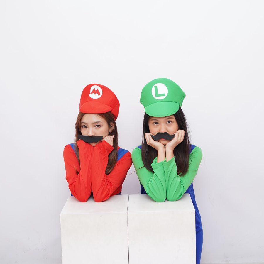 Mario & Luigi Photopack🍄